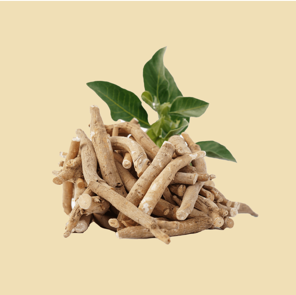 A photography of dry ashwagandha herbs